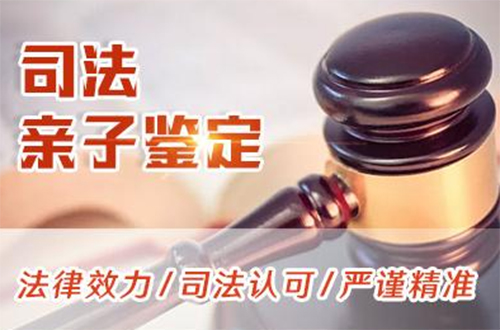 漯河司法DNA亲子鉴定详细流程,司法亲子鉴定采集什么样本