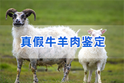 漯河羊类动物鉴定